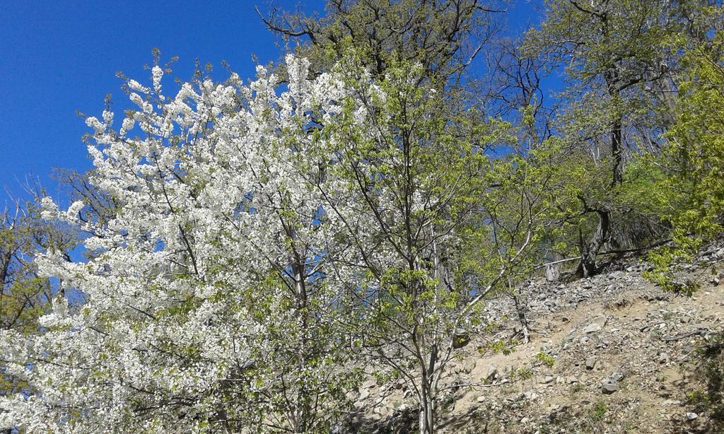 Kétkerék Vendégház - a mátrai szállás Matraszentlaszlo Exterior foto